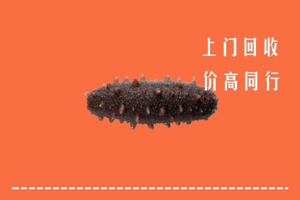 高价求购：晋城回收海参